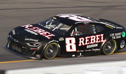 Kyle Busch 2025 Rebel Bourbon Black (Sim #)