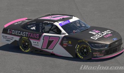 17 DiecastFans Pink