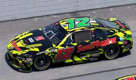 Vasser Sullivan Racing 2025 Sealmaster Car 12 (Custom Numbers)