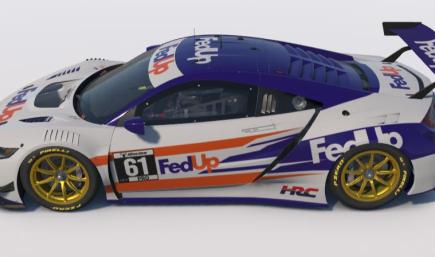Acura GT3 FedUp