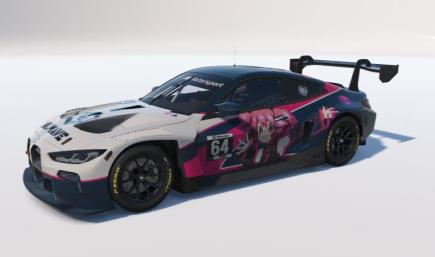 TETO CAR BMW M4 GT3