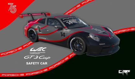 Porsche Cup WEC Safety Car